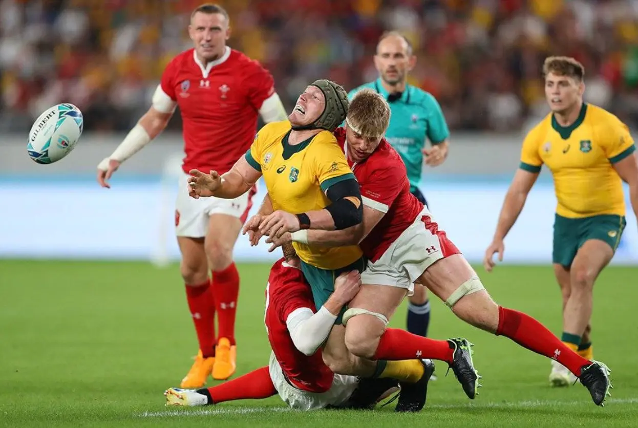 Линия регби в 1Win и 1xbet